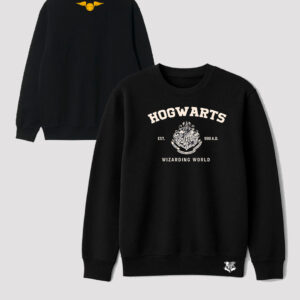 Polera Harry Potter Hogwarts espalda Snich